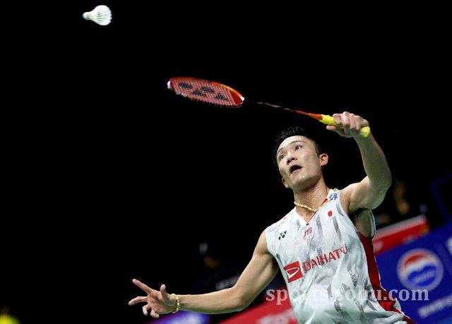 界足坛的深 界足坛的深