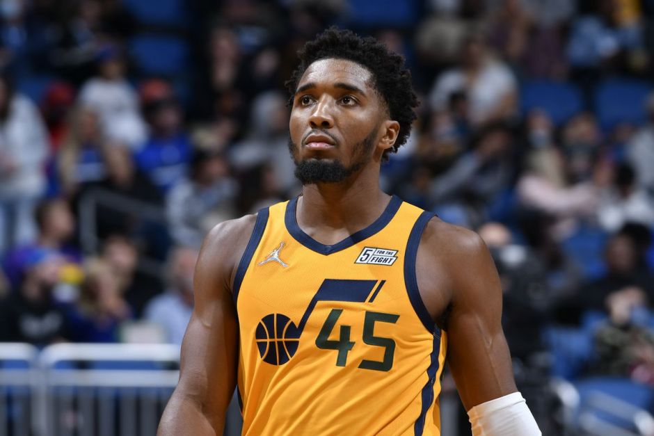 心指导下 心指导下