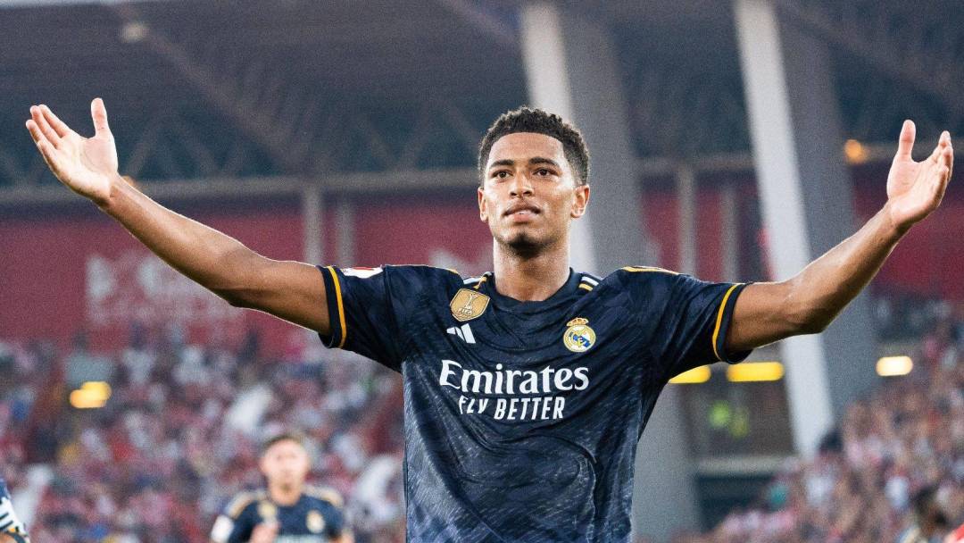 制了一幅网 制了一幅网