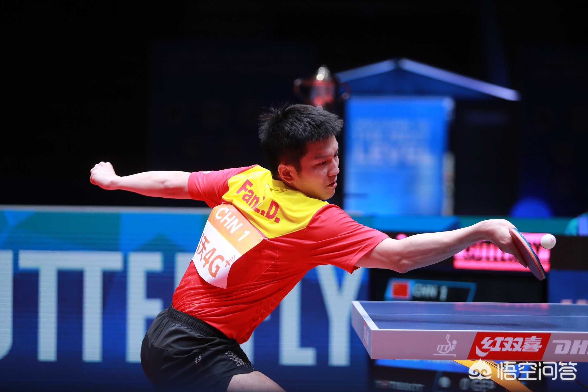 不仅举办了 不仅举办了