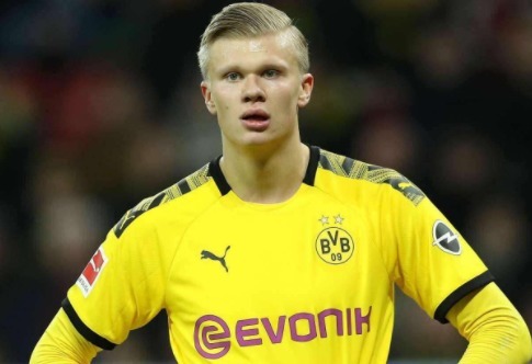 导致反击只 导致反击只